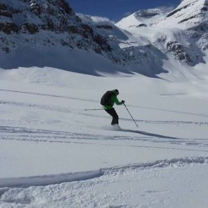 Meet your Posher, Tyler